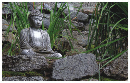Buddha