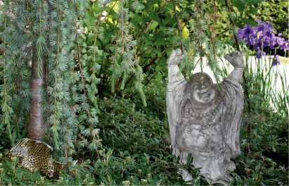 Happy buddha